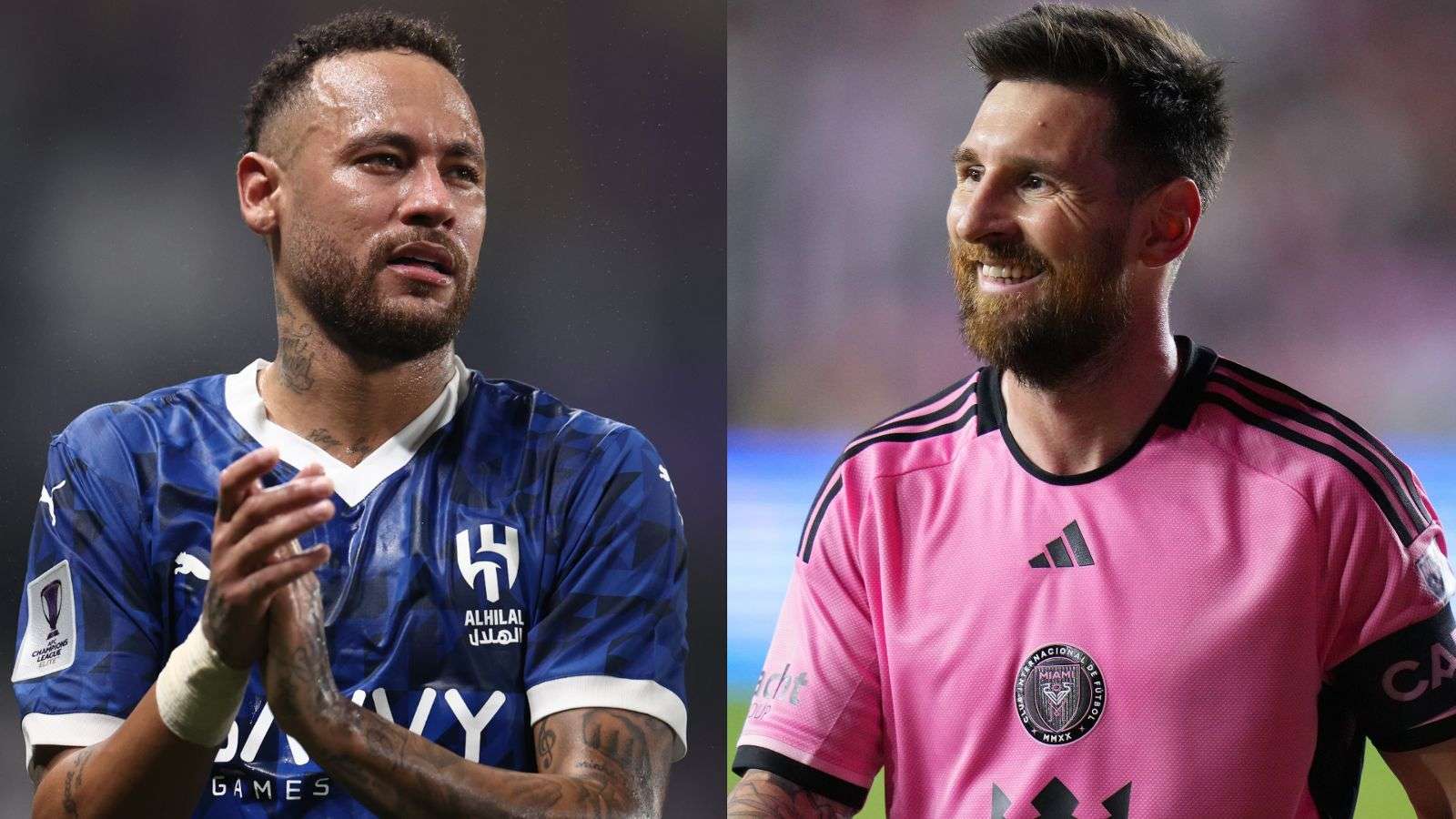 不仅展示了 不仅展示了