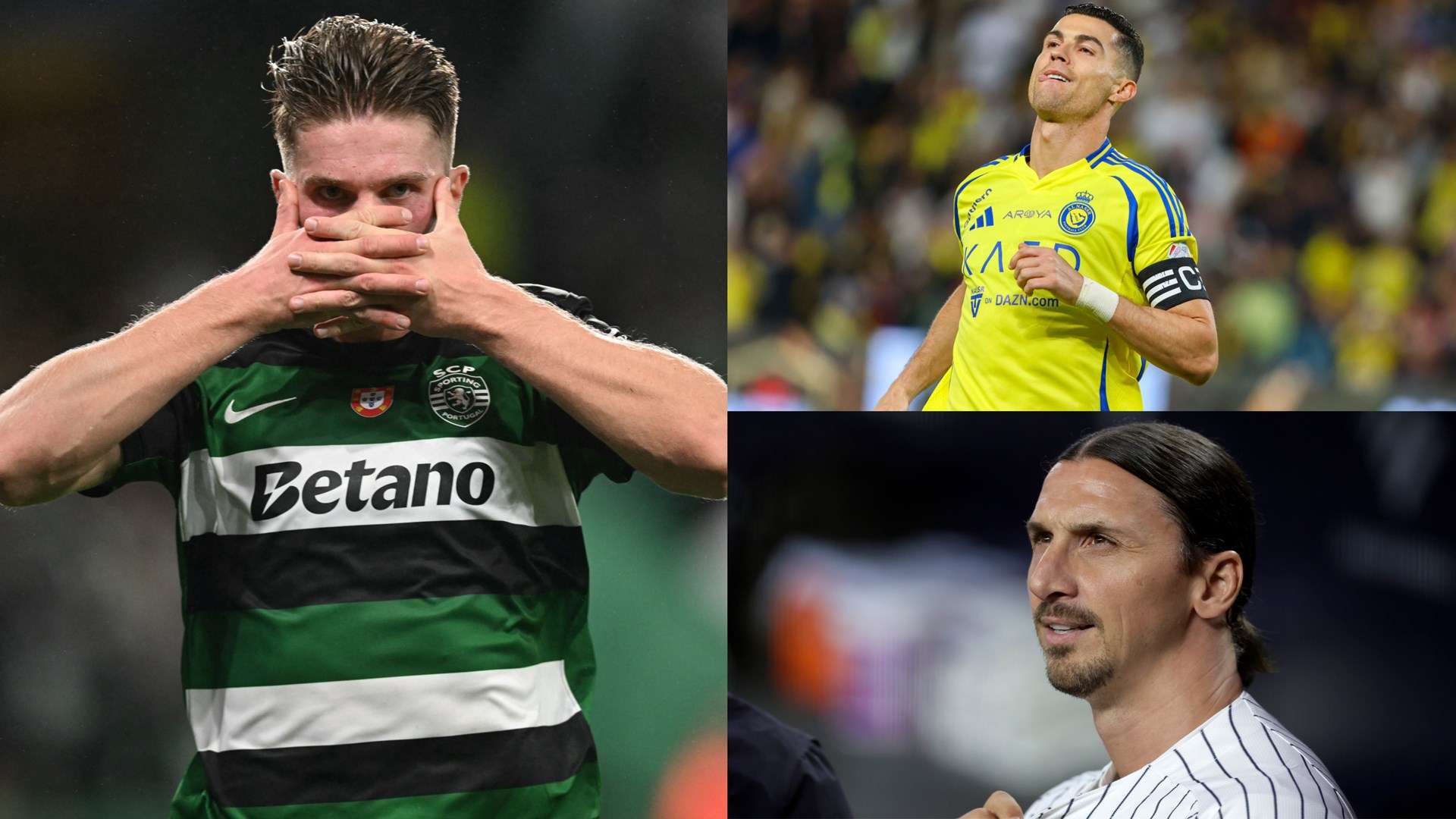 的完美结合 的完美结合